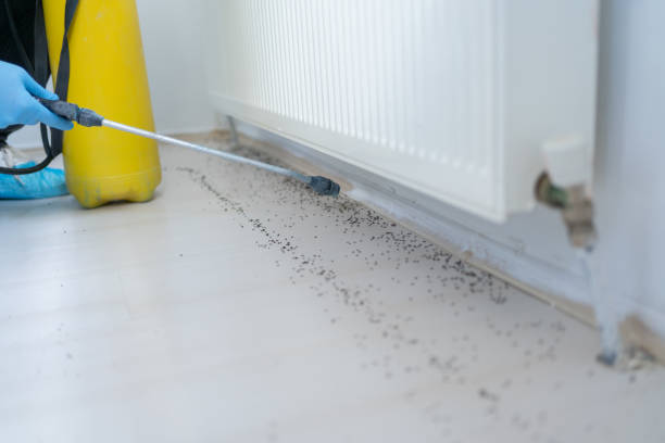 Best Best Pest Control Companies  in Oolitic, IN