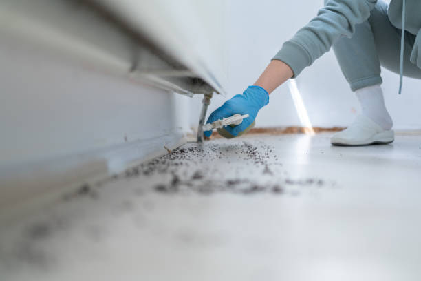 Best Best Pest Control Companies  in Oolitic, IN