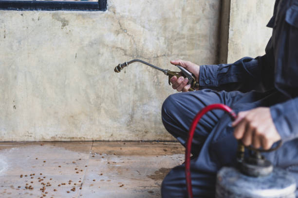 Best Pest Control for Homes  in Oolitic, IN